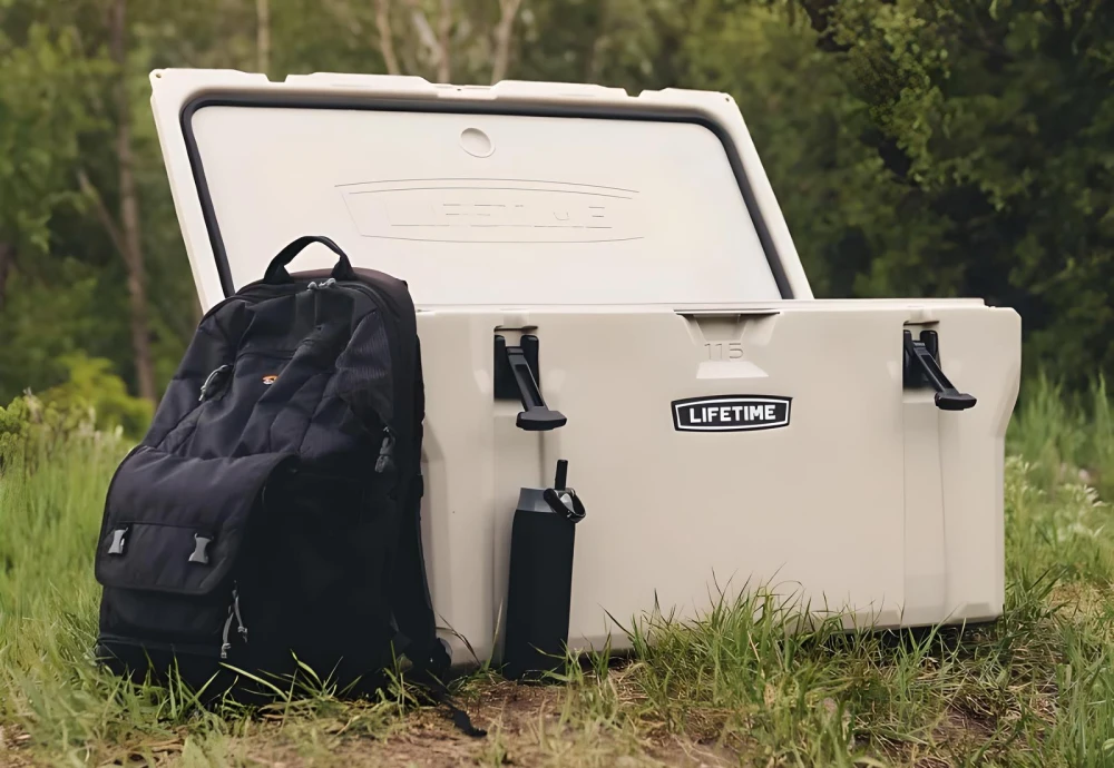 portable cooler box